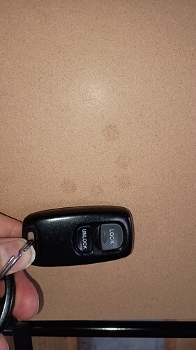 IMG_20260225_130039521