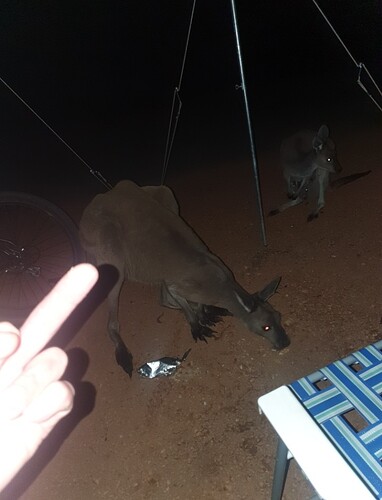 Screenshot_20251208_082902~2