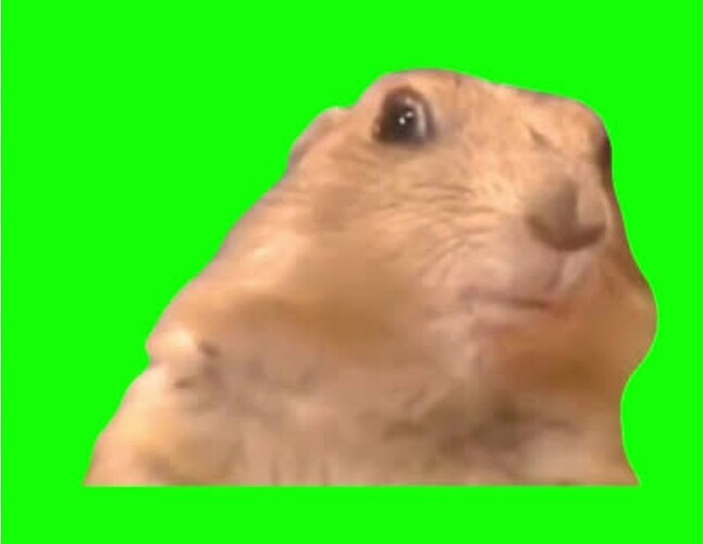 Screenshot_20251020_190318_Google