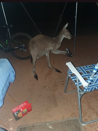 Screenshot_20251208_082854~2