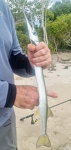 Screenshot_20251228_160909_Messenger~2