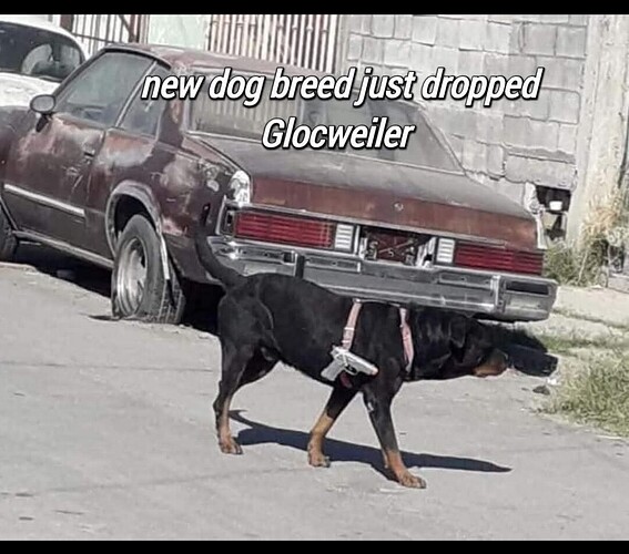 Screenshot_2025-10-18-20-15-32-34_a23b203fd3aafc6dcb84e438dda678b6