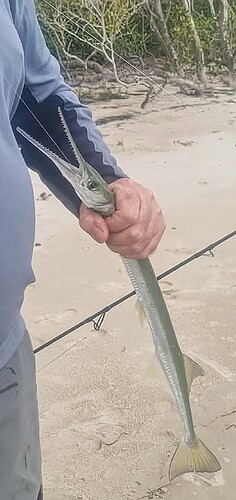 Screenshot_20251228_160927_Messenger~2