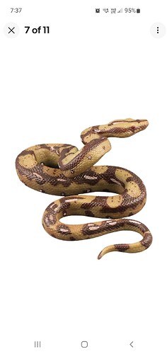 Screenshot_20250913_073716_eBay