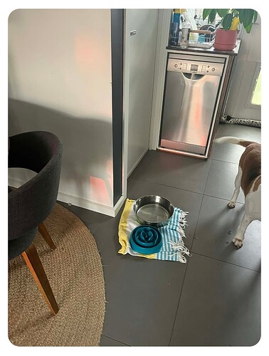 Screenshot_20260110_190810_Messenger